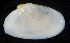  ( - BMBM-0167)  @11 [ ] CreativeCommons - Attribution Non-Commercial Share-Alike (2017) Matthieu Leray Smithsonian Institution