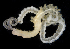  ( - BMBM-0472)  @11 [ ] CreativeCommons - Attribution Non-Commercial Share-Alike (2017) Matthieu Leray Smithsonian Institution