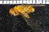  ( - FinAcal10)  @11 [ ] CreativeCommons - Attribution Non-Commercial Share-Alike (2015) UoB, Norway University of Bergen, Natural History Collections