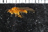  ( - FinAcal12)  @11 [ ] CreativeCommons - Attribution Non-Commercial Share-Alike (2015) UoB, Norway University of Bergen, Natural History Collections
