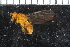  ( - FinAcal13)  @11 [ ] CreativeCommons - Attribution Non-Commercial Share-Alike (2015) UoB, Norway University of Bergen, Natural History Collections