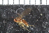  ( - FinAcal15)  @12 [ ] CreativeCommons - Attribution Non-Commercial Share-Alike (2015) UoB, Norway University of Bergen, Natural History Collections