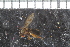  ( - FinAcal17)  @11 [ ] CreativeCommons - Attribution Non-Commercial Share-Alike (2015) UoB, Norway University of Bergen, Natural History Collections