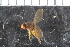  ( - FinAcal20)  @11 [ ] CreativeCommons - Attribution Non-Commercial Share-Alike (2015) UoB, Norway University of Bergen, Natural History Collections