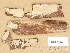  (Corticium roseum - H017014)  @11 [ ] Copyright (2014) Diana Weckman Botanical Museum, Finnish Museum of Natural History, University of Helsinki