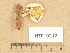  ( - H7019212)  @11 [ ] Copyright (2012) Diana Weckman Botanical Museum, Finnish Museum of Natural History, University of Helsinki