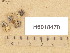  ( - H6018470)  @11 [ ] Copyright (2013) Diana Weckman Botanical Museum, Finnish Museum of Natural History, University of Helsinki