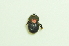  ( - UMKL-TG005)  @11 [ ] Unspecified (default): All Rights Reserved  Unspecified Unspecified