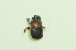  ( - UMKL-TG007)  @11 [ ] Unspecified (default): All Rights Reserved  Unspecified Unspecified