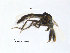  ( - FiCer10)  @12 [ ] CreativeCommons - Attribution Non-Commercial Share-Alike (2012) NTNU Museum of Natural History and Archaeology NTNU Museum of Natural History and Archaeology