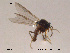  ( - FiCer130)  @13 [ ] CreativeCommons - Attribution Non-Commercial Share-Alike (2012) NTNU Museum of Natural History and Archaeology NTNU Museum of Natural History and Archaeology