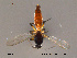  ( - FiCer132)  @12 [ ] CreativeCommons - Attribution Non-Commercial Share-Alike (2012) NTNU Museum of Natural History and Archaeology NTNU Museum of Natural History and Archaeology