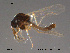  ( - FiCer148)  @12 [ ] CreativeCommons - Attribution Non-Commercial Share-Alike (2012) NTNU Museum of Natural History and Archaeology NTNU Museum of Natural History and Archaeology