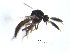  ( - FiCer17)  @12 [ ] CreativeCommons - Attribution Non-Commercial Share-Alike (2012) NTNU Museum of Natural History and Archaeology NTNU Museum of Natural History and Archaeology