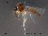  ( - FiCer201)  @13 [ ] CreativeCommons - Attribution Non-Commercial Share-Alike (2012) NTNU Museum of Natural History and Archaeology NTNU Museum of Natural History and Archaeology