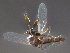  ( - FiCer202)  @12 [ ] CreativeCommons - Attribution Non-Commercial Share-Alike (2012) NTNU Museum of Natural History and Archaeology NTNU Museum of Natural History and Archaeology