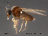 ( - FiCer203)  @13 [ ] CreativeCommons - Attribution Non-Commercial Share-Alike (2012) NTNU Museum of Natural History and Archaeology NTNU Museum of Natural History and Archaeology