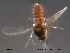  ( - FiCer205)  @12 [ ] CreativeCommons - Attribution Non-Commercial Share-Alike (2012) NTNU Museum of Natural History and Archaeology NTNU Museum of Natural History and Archaeology