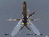  ( - FiCer208)  @13 [ ] CreativeCommons - Attribution Non-Commercial Share-Alike (2012) NTNU Museum of Natural History and Archaeology NTNU Museum of Natural History and Archaeology