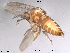  ( - FiCer214)  @11 [ ] CreativeCommons - Attribution Non-Commercial Share-Alike (2012) NTNU Museum of Natural History and Archaeology NTNU Museum of Natural History and Archaeology