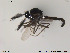 ( - FiCer220)  @12 [ ] CreativeCommons - Attribution Non-Commercial Share-Alike (2012) NTNU Museum of Natural History and Archaeology NTNU Museum of Natural History and Archaeology