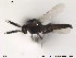  ( - FiCer225)  @12 [ ] CreativeCommons - Attribution Non-Commercial Share-Alike (2012) NTNU Museum of Natural History and Archaeology NTNU Museum of Natural History and Archaeology