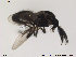  ( - FiCer226)  @12 [ ] CreativeCommons - Attribution Non-Commercial Share-Alike (2012) NTNU Museum of Natural History and Archaeology NTNU Museum of Natural History and Archaeology