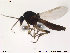  ( - FiCer227)  @12 [ ] CreativeCommons - Attribution Non-Commercial Share-Alike (2012) NTNU Museum of Natural History and Archaeology NTNU Museum of Natural History and Archaeology