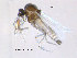  ( - FiCer23)  @12 [ ] CreativeCommons - Attribution Non-Commercial Share-Alike (2012) NTNU Museum of Natural History and Archaeology NTNU Museum of Natural History and Archaeology