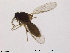  ( - FiCer232)  @12 [ ] CreativeCommons - Attribution Non-Commercial Share-Alike (2012) NTNU Museum of Natural History and Archaeology NTNU Museum of Natural History and Archaeology