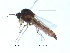  ( - FiCer3)  @11 [ ] CreativeCommons - Attribution Non-Commercial Share-Alike (2012) NTNU Museum of Natural History and Archaeology NTNU Museum of Natural History and Archaeology