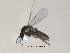  ( - FiCer39)  @14 [ ] CreativeCommons - Attribution Non-Commercial Share-Alike (2012) NTNU Museum of Natural History and Archaeology NTNU Museum of Natural History and Archaeology