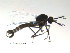  ( - FiCer48)  @11 [ ] CreativeCommons - Attribution Non-Commercial Share-Alike (2012) NTNU Museum of Natural History and Archaeology NTNU Museum of Natural History and Archaeology