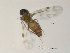  ( - FiCer67)  @13 [ ] CreativeCommons - Attribution Non-Commercial Share-Alike (2012) NTNU Museum of Natural History and Archaeology NTNU Museum of Natural History and Archaeology