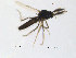  ( - FiCer8)  @12 [ ] CreativeCommons - Attribution Non-Commercial Share-Alike (2012) NTNU Museum of Natural History and Archaeology NTNU Museum of Natural History and Archaeology
