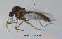 ( - FiCer88)  @13 [ ] CreativeCommons - Attribution Non-Commercial Share-Alike (2012) NTNU Museum of Natural History and Archaeology NTNU Museum of Natural History and Archaeology
