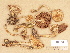  ( - H6032748)  @11 [ ] Copyright (2012) Diana Weckman Botanical Museum, Finnish Museum of Natural History, University of Helsinki