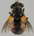  ( - MZH_HP.200)  @13 [ ] CreativeCommons - Attribution Non-Commercial No Derivatives (2011) Finnish Museum of Natural History Finnish Museum of Natural History