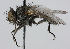  ( - MZH_HP.249)  @14 [ ] CreativeCommons - Attribution Non-Commercial No Derivatives (2011) Finnish Museum of Natural History Finnish Museum of Natural History