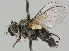  ( - MZH_HP.259)  @14 [ ] CreativeCommons - Attribution Non-Commercial No Derivatives (2011) Finnish Museum of Natural History Finnish Museum of Natural History