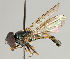 ( - MZH_HP.45)  @14 [ ] CreativeCommons - Attribution Non-Commercial No Derivatives (2011) Finnish Museum of Natural History Finnish Museum of Natural History