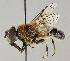  ( - MZH_HP.49)  @14 [ ] CreativeCommons - Attribution Non-Commercial No Derivatives (2011) Finnish Museum of Natural History Finnish Museum of Natural History