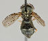  ( - MZH_HP.77)  @12 [ ] CreativeCommons - Attribution Non-Commercial No Derivatives (2011) Finnish Museum of Natural History Finnish Museum of Natural History