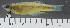  ( - OS20262 GAB17-0604)  @11 [ ] CreativeCommons  Attribution Non-Commercial Share-Alike (2019) Oregon State University Oregon State University