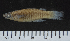  ( - OS21994 A)  @11 [ ] CreativeCommons  Attribution Non-Commercial Share-Alike (2019) Oregon State University Oregon State University