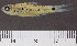  ( - OS22387 GAB17-0183)  @11 [ ] CreativeCommons  Attribution Non-Commercial Share-Alike (2019) Oregon State University Oregon State University