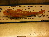  ( - CHO001)  @11 [ ] Unspecified (default): All Rights Reserved  Unspecified Unspecified