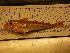  ( - CHO002)  @11 [ ] Unspecified (default): All Rights Reserved  Unspecified Unspecified