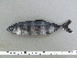  ( - NAD002)  @11 [ ] Unspecified (default): All Rights Reserved  Unspecified Unspecified
