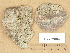  ( - H9203604)  @11 [ ] Copyright (2012) Diana Weckman Botanical Museum, Finnish Museum of Natural History, University of Helsinki